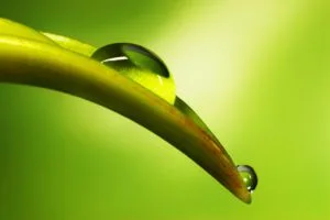 Foods can help reduce our stress and anxiety levels