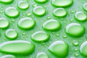 Image of a leaf covered with water droplets signifying importance of saliva to our teeth