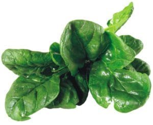 picture of spinach leaves containing oxalic acid